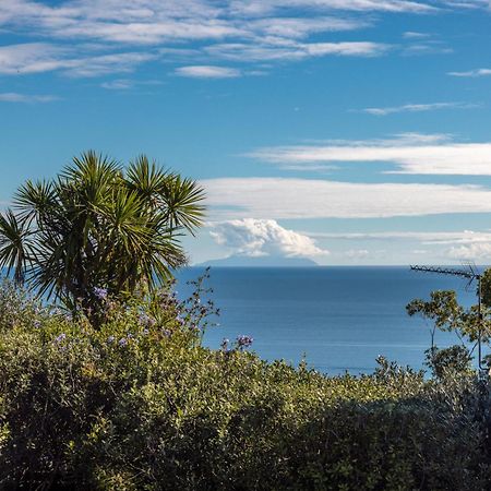Belle View - Stay Waiheke Onetangi Bagian luar foto